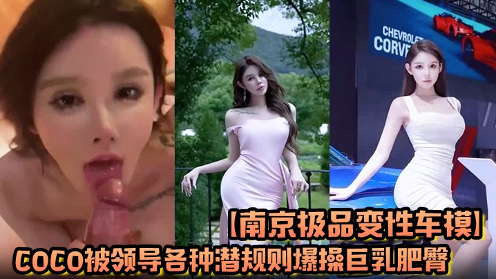 【南京极品变性车模】coco被领导各种潜规则爆操巨乳肥臀满身的科技与狠活假逼现在都会喷水了吗这么仿真？